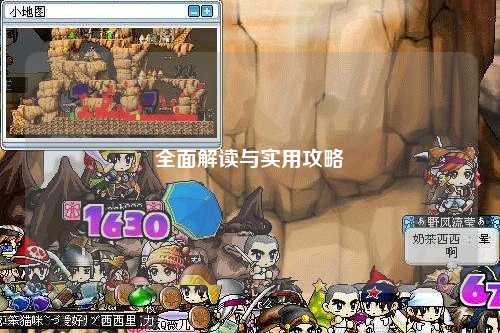全面解读与实用攻略