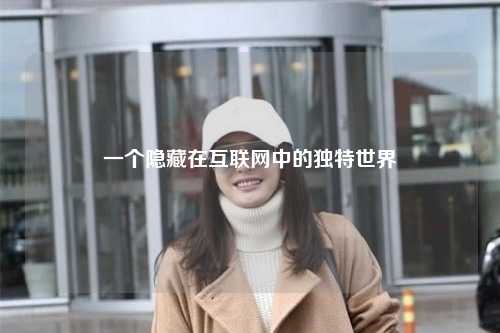 一个隐藏在互联网中的独特世界