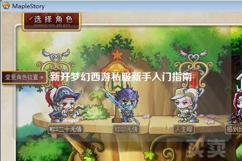新开梦幻西游私服新手入门指南