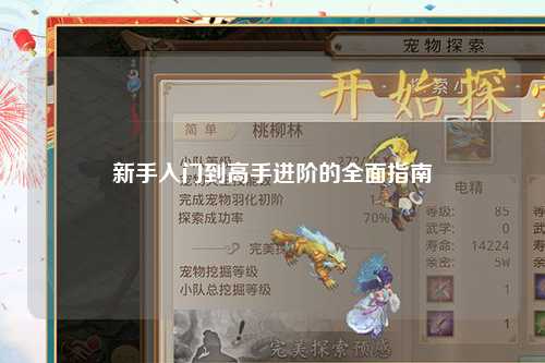 新手入门到高手进阶的全面指南