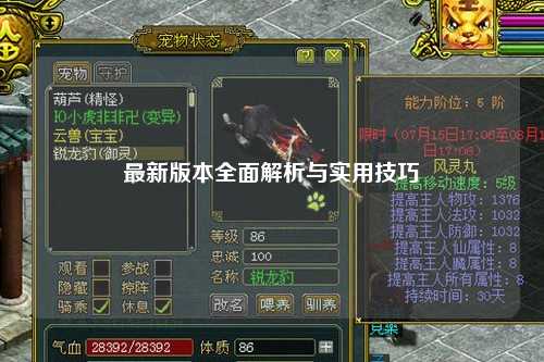 最新版本全面解析与实用技巧