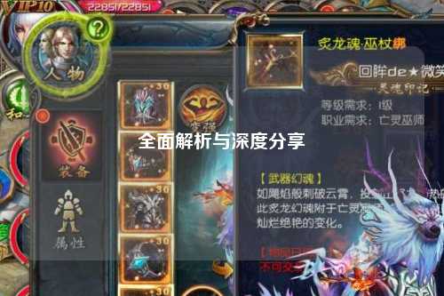 全面解析与深度分享