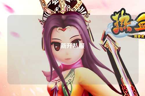 新开私服