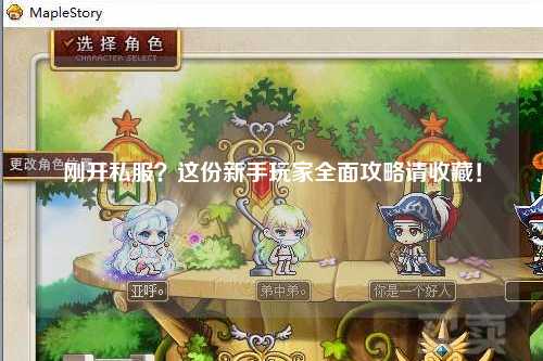 刚开私服？这份新手玩家全面攻略请收藏！